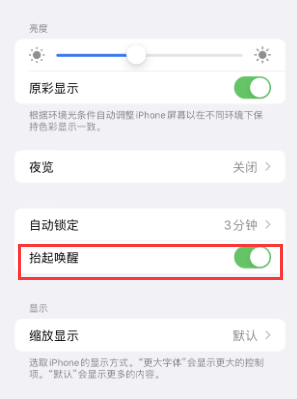 栾城苹果授权维修站分享iPhone轻点无法唤醒怎么办