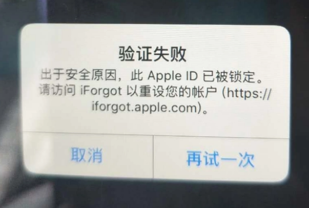 栾城iPhone维修分享iPhone上正常登录或使用AppleID怎么办 