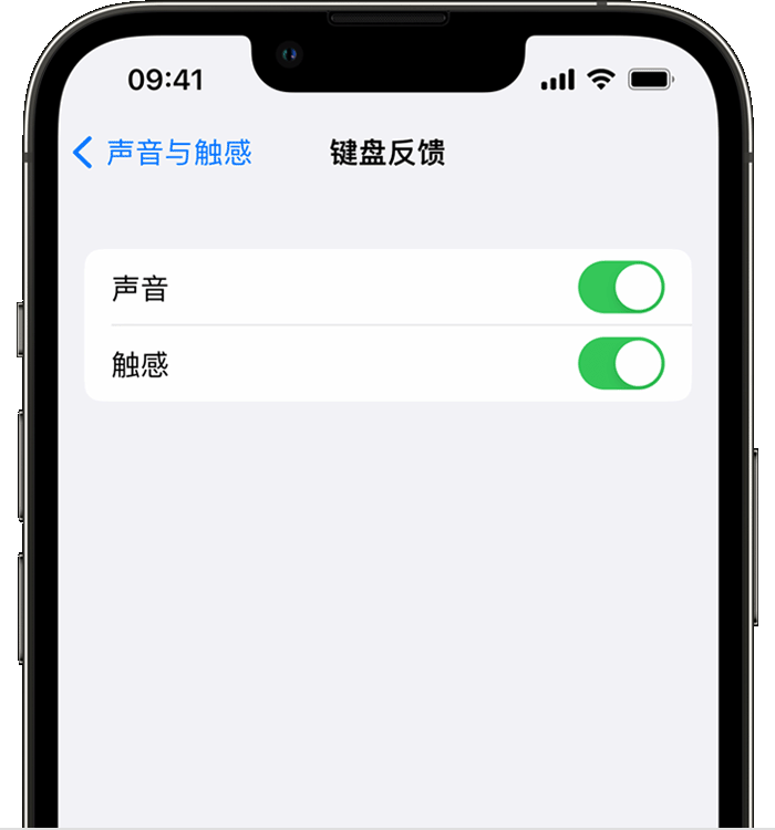 栾城苹果14维修店分享如何在 iPhone 14 机型中使用触感键盘 