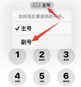 栾城苹果14维修店分享iPhone 14 Pro Max使用副卡打电话的方法 