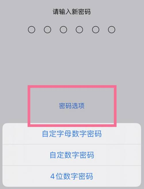 栾城苹果14维修分享iPhone 14plus设置密码的方法 