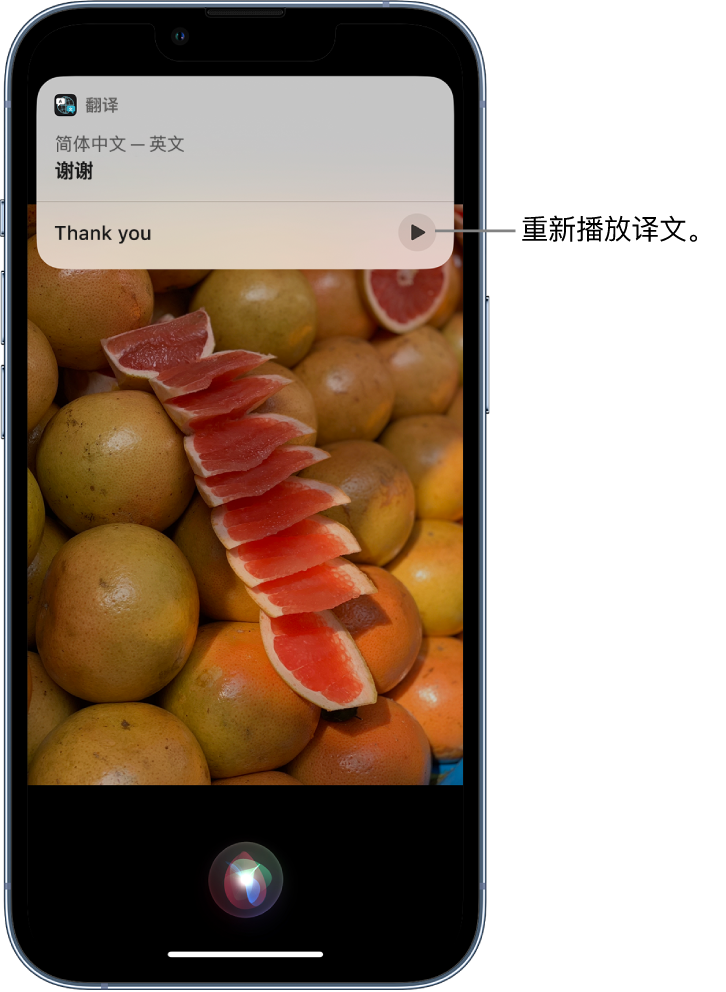 栾城苹果14维修分享 iPhone 14 机型中使用 Siri：了解 Siri 能帮你做什么 