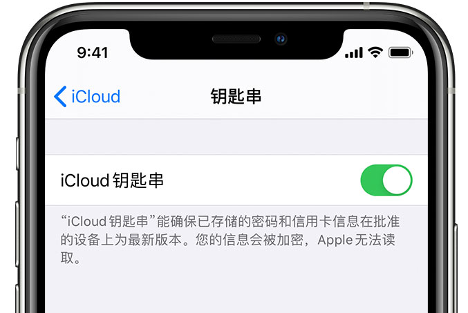 栾城苹果手机维修分享在 iPhone 上开启 iCloud 钥匙串之后会储存哪些信息 