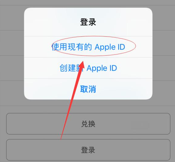 栾城苹果手机维修分享两台iPhone设备可以同时登录一个Apple ID吗 