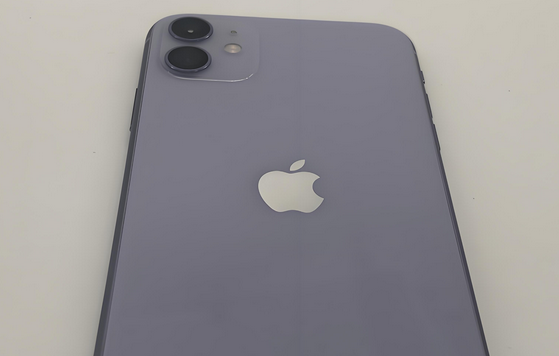 栾城苹果11系统维修分享iPhone11手机系统崩溃无法开机如何解决 